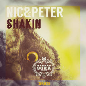 Shakin'