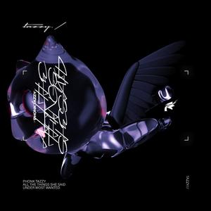 ALL THE THINGS SHE SAID - PHONK