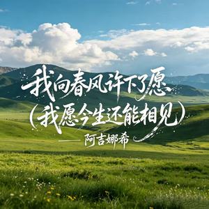 我向春风许下了愿（我愿今生还能相见）