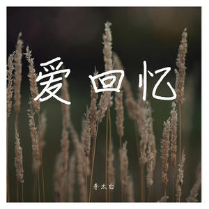 该忘的就忘了吧