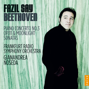 Piano Sonata No. 32 in C Minor, Op. 111: I. Maestoso - Allegro con brio ed appasionato