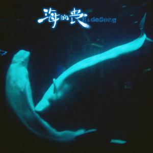 海的丧（Hide Song）