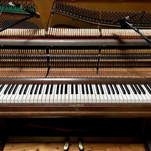 Elfenbein (ducklake live version)