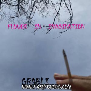 Flower in Imagination（Prod. Slim Dyane）