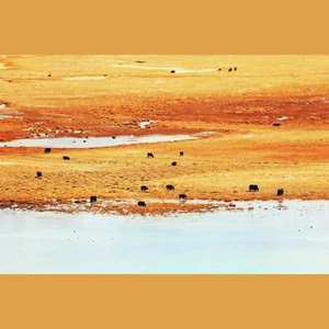 穿红裙的小姑娘