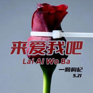 来爱我吧