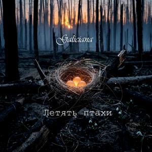 Летять птахи