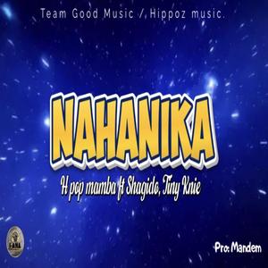 Nahanika (feat. Tiny knie)