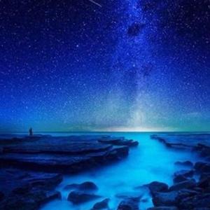 钢琴：你不知道的故事