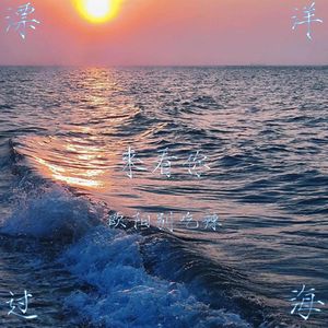 漂洋过海来看你