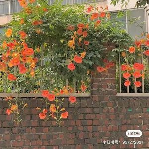 这一生关于你的风景(1)