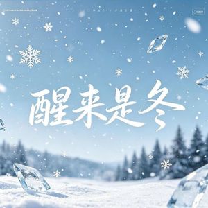 醒来是冬