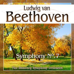 Symphony No. 7 in A Major, Op.92: Allegretto