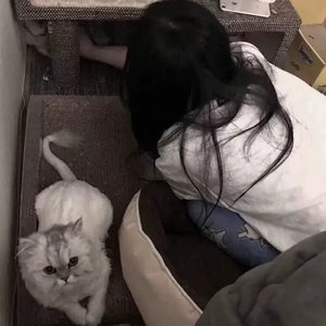 你想我吗