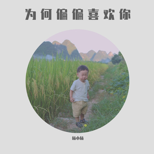 为何偏偏喜欢你