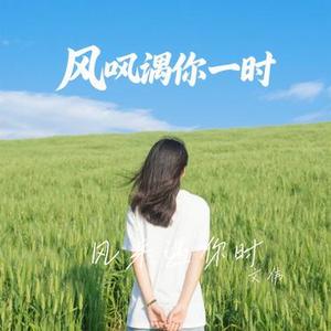 风来遇你时