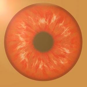 Maldición Desperdiciada