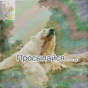 Просыпайся