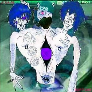 paladas ¿¿ ꗋ ꔺ¿