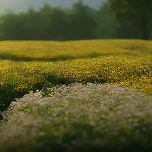 異邦人~シルクロードのテーマ