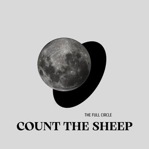 Count The Sheep