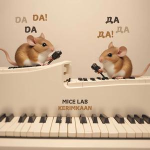 Mice Lab (Extended Version)