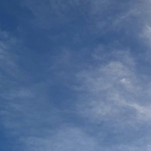 Wind
