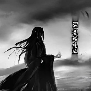 弱水三千 0.8x(DJ苏熠鸣版)