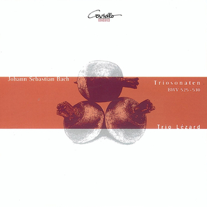 Organ Sonata No. 2 in C Minor, BWV 526: I. Vivace (Arr. for Clarinet, English Horn and Bassoon)