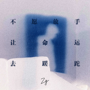 不愿放手让命运去蹉跎