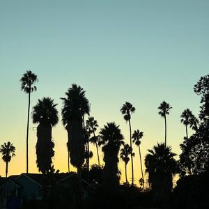 in the city out by the sea