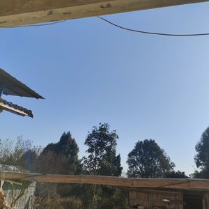 想在天空飞行
