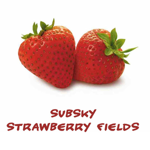 Strawberry Fields (Max Graham Mix)