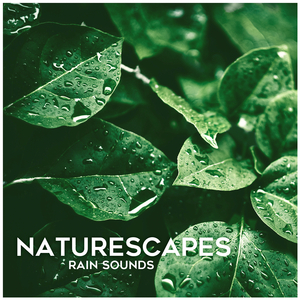 Relaxing Rain Fall
