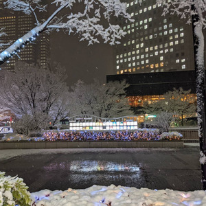 忘れたくなくて