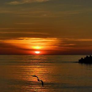 Ești tot ce-am visat