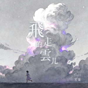 飞走的云儿