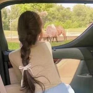 已物是人非 (Cover 可可168)