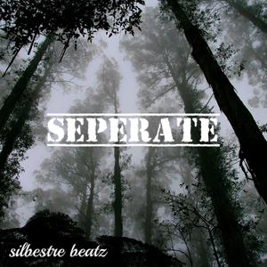SEPERATE