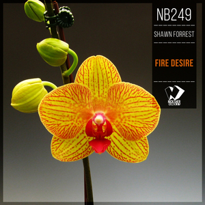 Fire Desire (Original Mix)