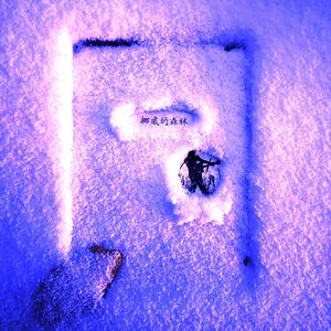 我在挪威的森林等你