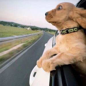 PRE DANCE FUNK (SPEED UP)