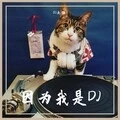 我是今夜的DJ