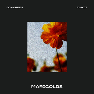 Marigolds