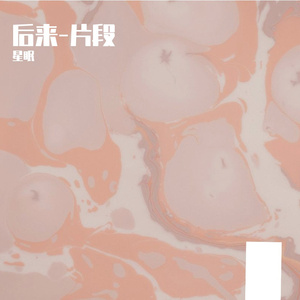 后来-片段