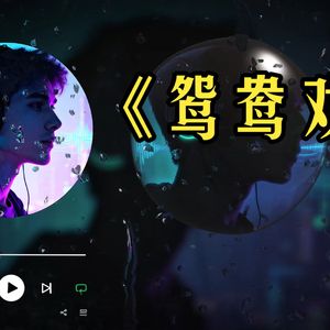 鸳鸯戏 (史诗版)