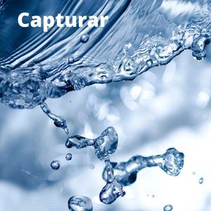 Capturar