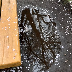 爱在阴雨季无限循环