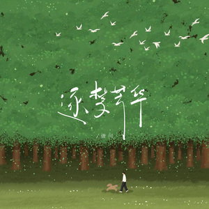 逐梦芳华