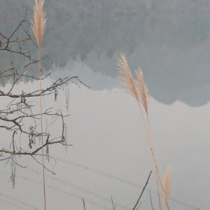 我不是你的宋冬野1